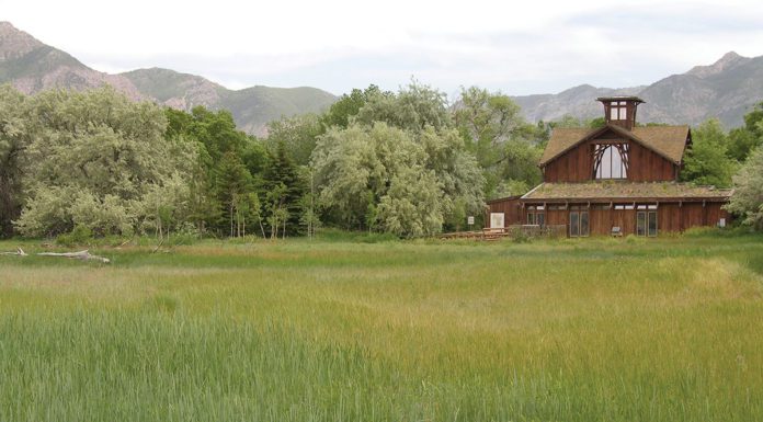 Natural Garden Decor Inspired by the Ogden Nature Center