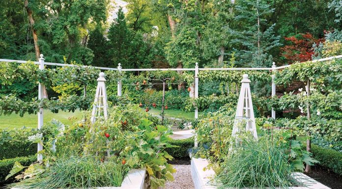 Utah’s Rise in Raised Garden Beds