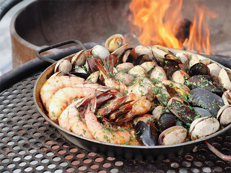 Paellllea-Kit_SLM-ND25_buy.taylorshellfishfarms